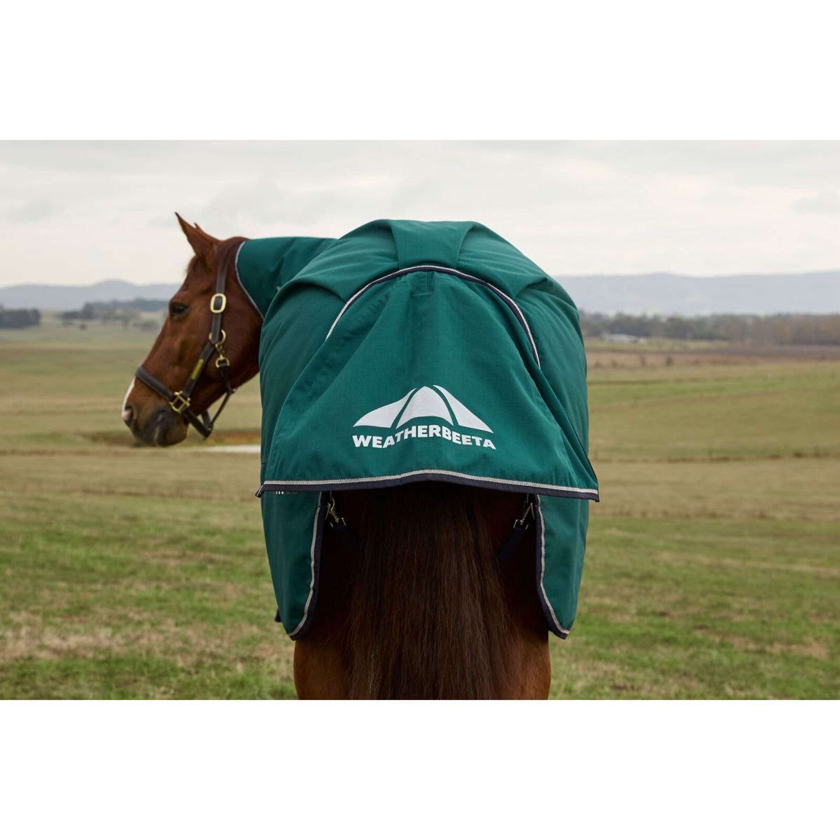 Weatherbeeta Comfitec Plus Dynamic Turnout Detach-A-Neck 0g Forest Green/Navy