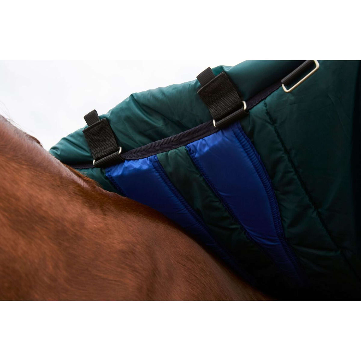 Weatherbeeta Comfitec Plus Dynamic Turnout Detach-A-Neck 0g Navy/Forest Green