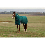 Weatherbeeta Comfitec Plus Dynamic Turnout Detach-A-Neck 0g Forest Green/Navy