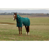 Weatherbeeta Comfitec Plus Dynamic Turnout Detach-A-Neck 0g Forest Green/Navy
