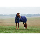 Weatherbeeta Comfitec Plus Dynamic Turnout Detach-A-Neck 0g Navy/Forest Green