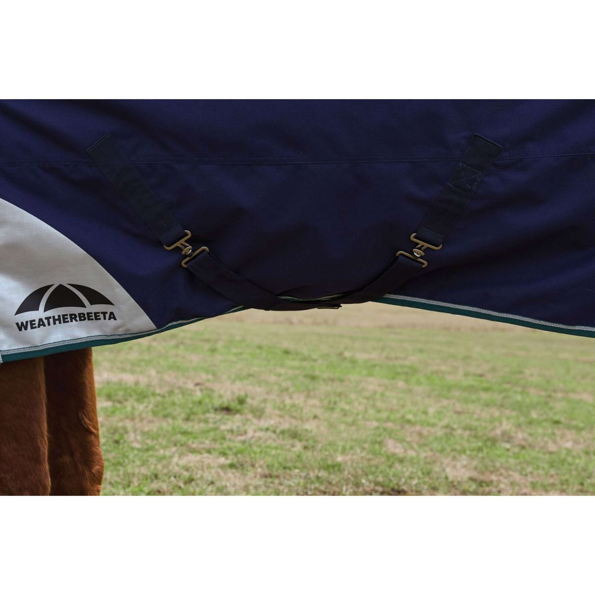 Weatherbeeta Comfitec Plus Dynamic Turnout Detach-A-Neck 0g Navy/Forest Green