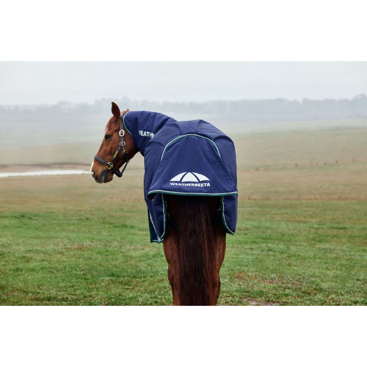 Weatherbeeta Comfitec Plus Dynamic Turnout Detach-A-Neck 0g Navy/Forest Green