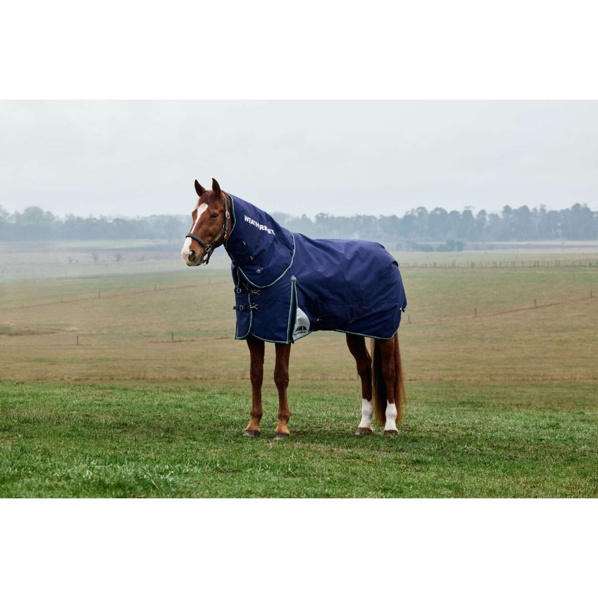 Weatherbeeta Comfitec Plus Dynamic Turnout Detach-A-Neck 0g Navy/Forest Green