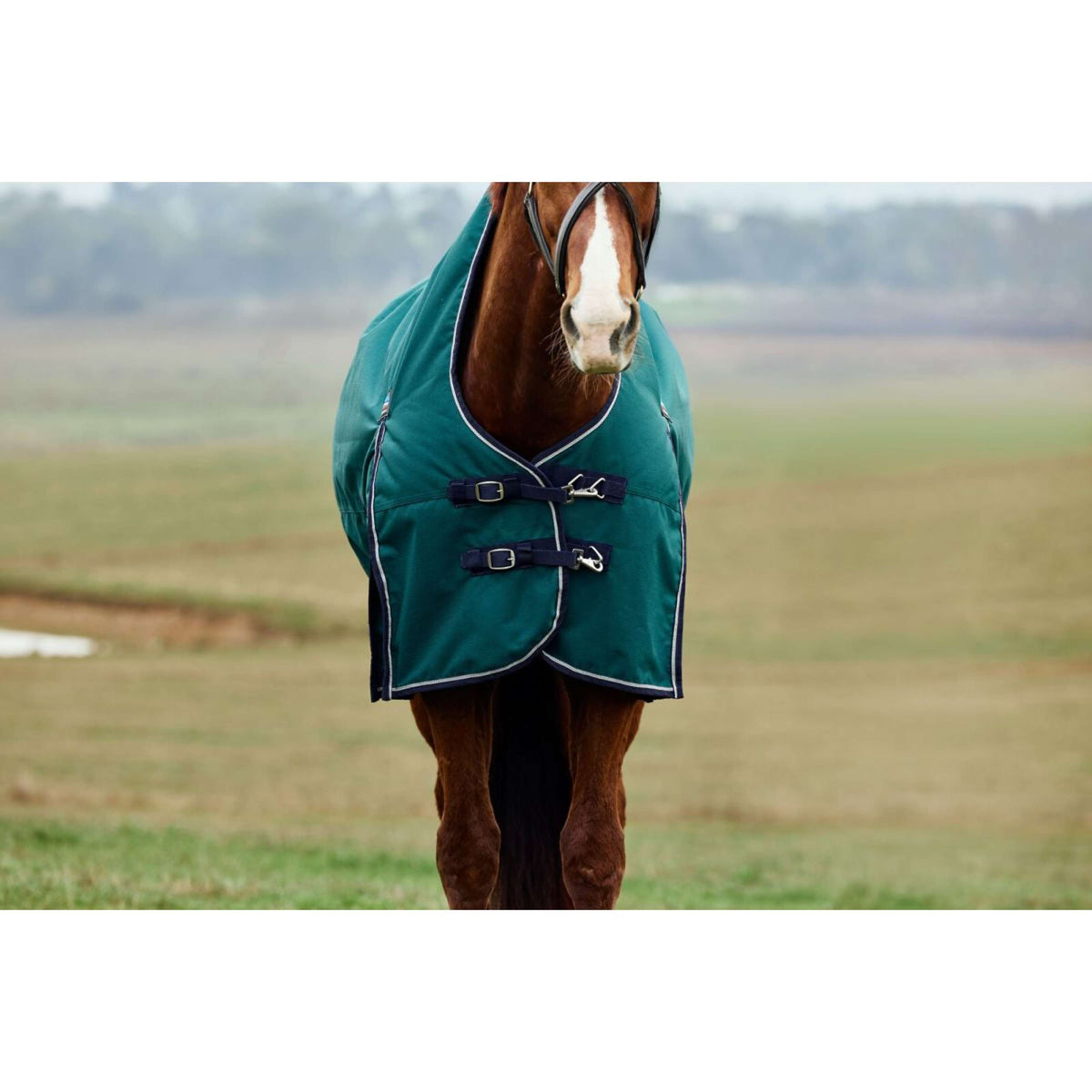 Weatherbeeta Comfitec Plus Dynamic Turnout High Neck 220g Forest Green/Navy