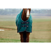 Weatherbeeta Comfitec Plus Dynamic Turnout High Neck 220g Forest Green/Navy