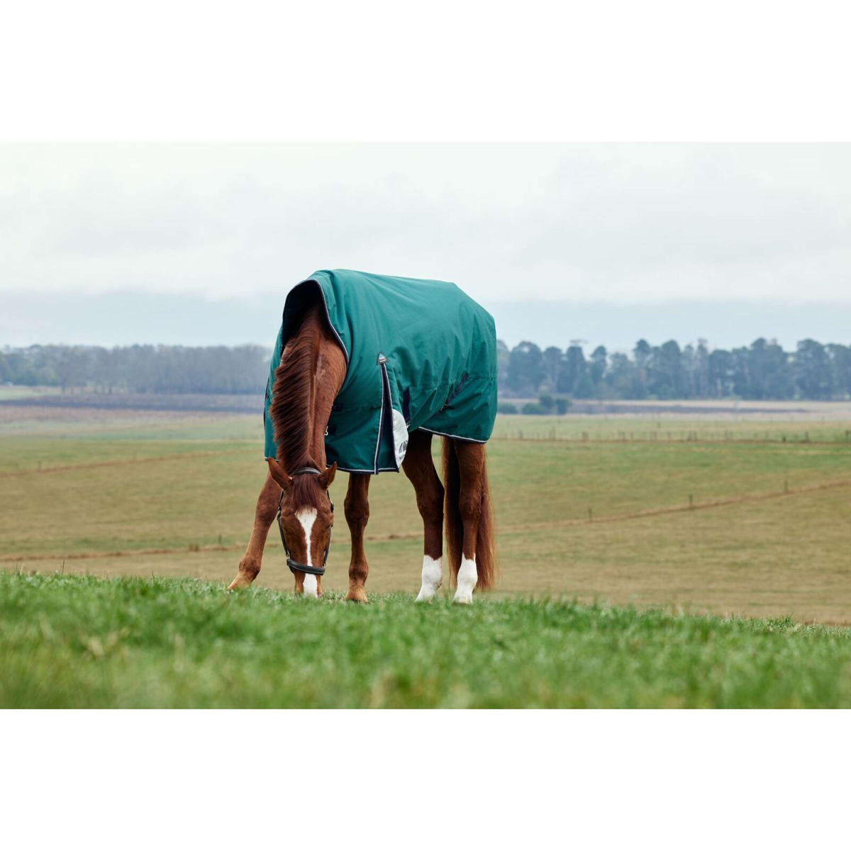Weatherbeeta Comfitec Plus Dynamic Turnout High Neck 220g Forest Green/Navy