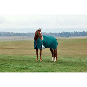Weatherbeeta Comfitec Plus Dynamic Turnout High Neck 220g Forest Green/Navy