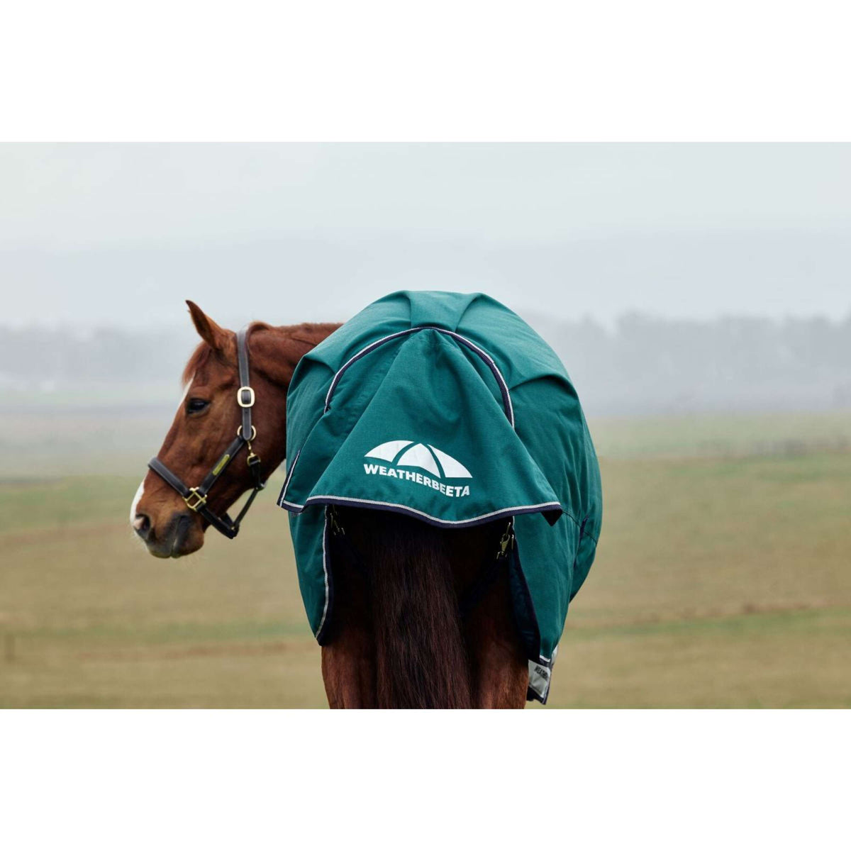 Weatherbeeta Comfitec Plus Dynamic Turnout High Neck 220g Forest Green/Navy