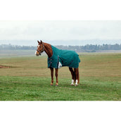 Weatherbeeta Comfitec Plus Dynamic Turnout High Neck 220g Forest Green/Navy