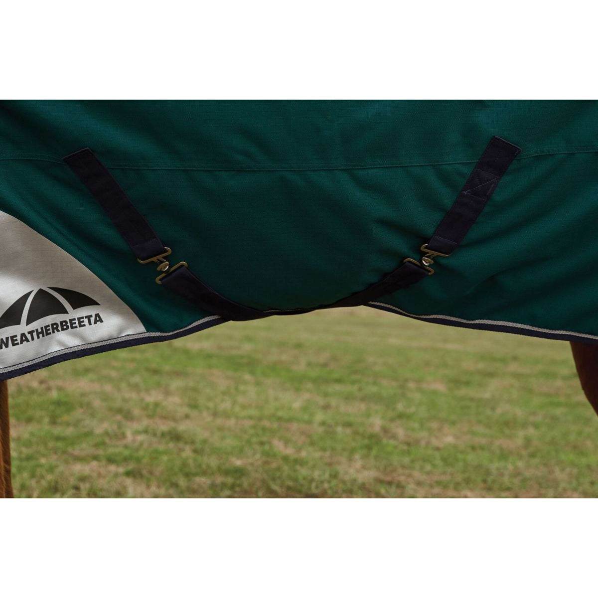 Weatherbeeta Comfitec Plus Dynamic Turnout High Neck 220g Forest Green/Navy