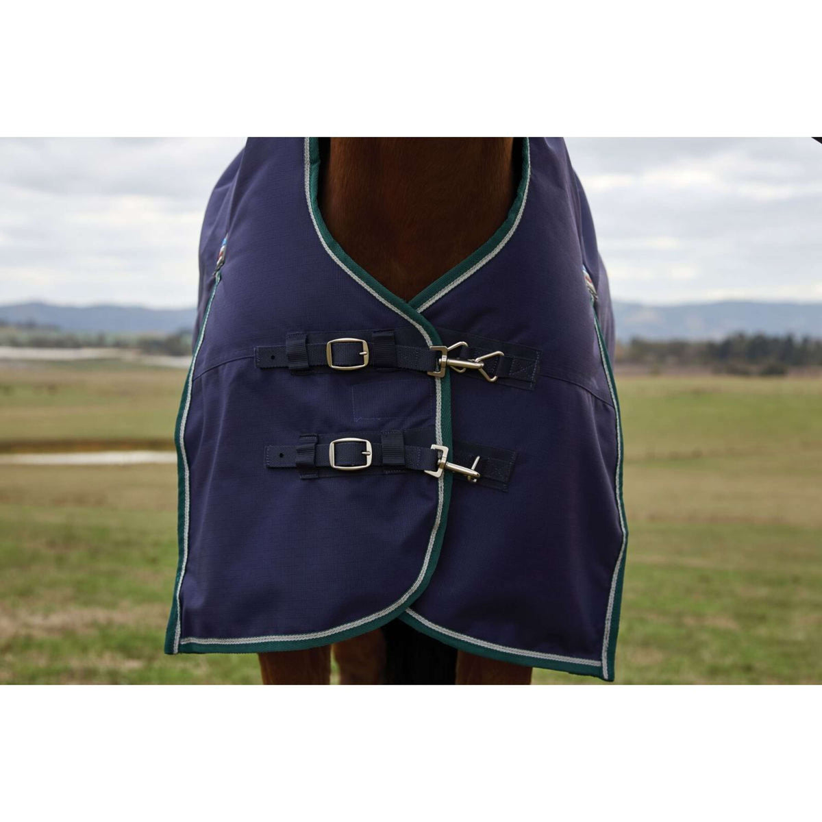 Weatherbeeta Comfitec Plus Dynamic Turnout High Neck 220g Navy/Forest Green