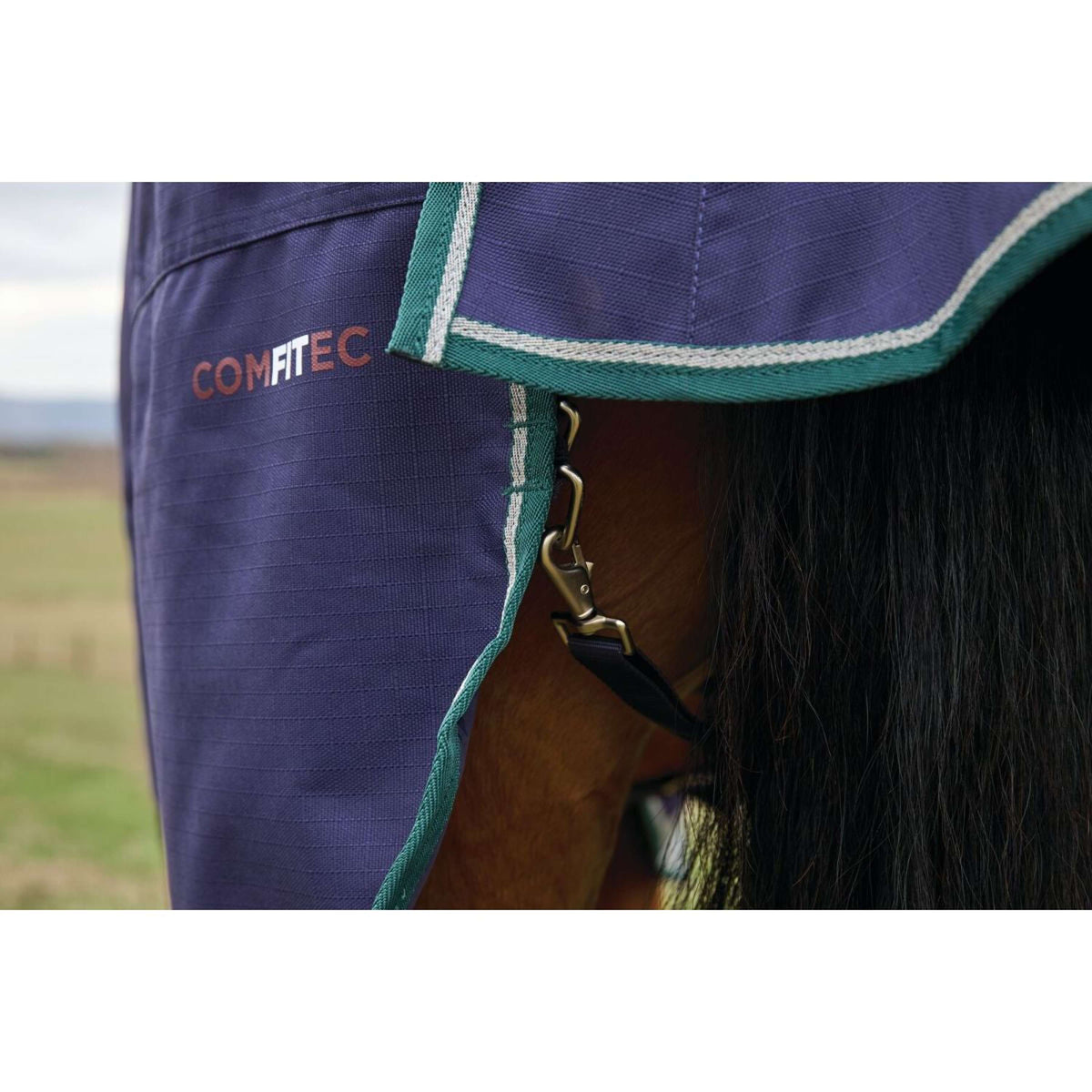Weatherbeeta Comfitec Plus Dynamic Turnout High Neck 220g Navy/Forest Green