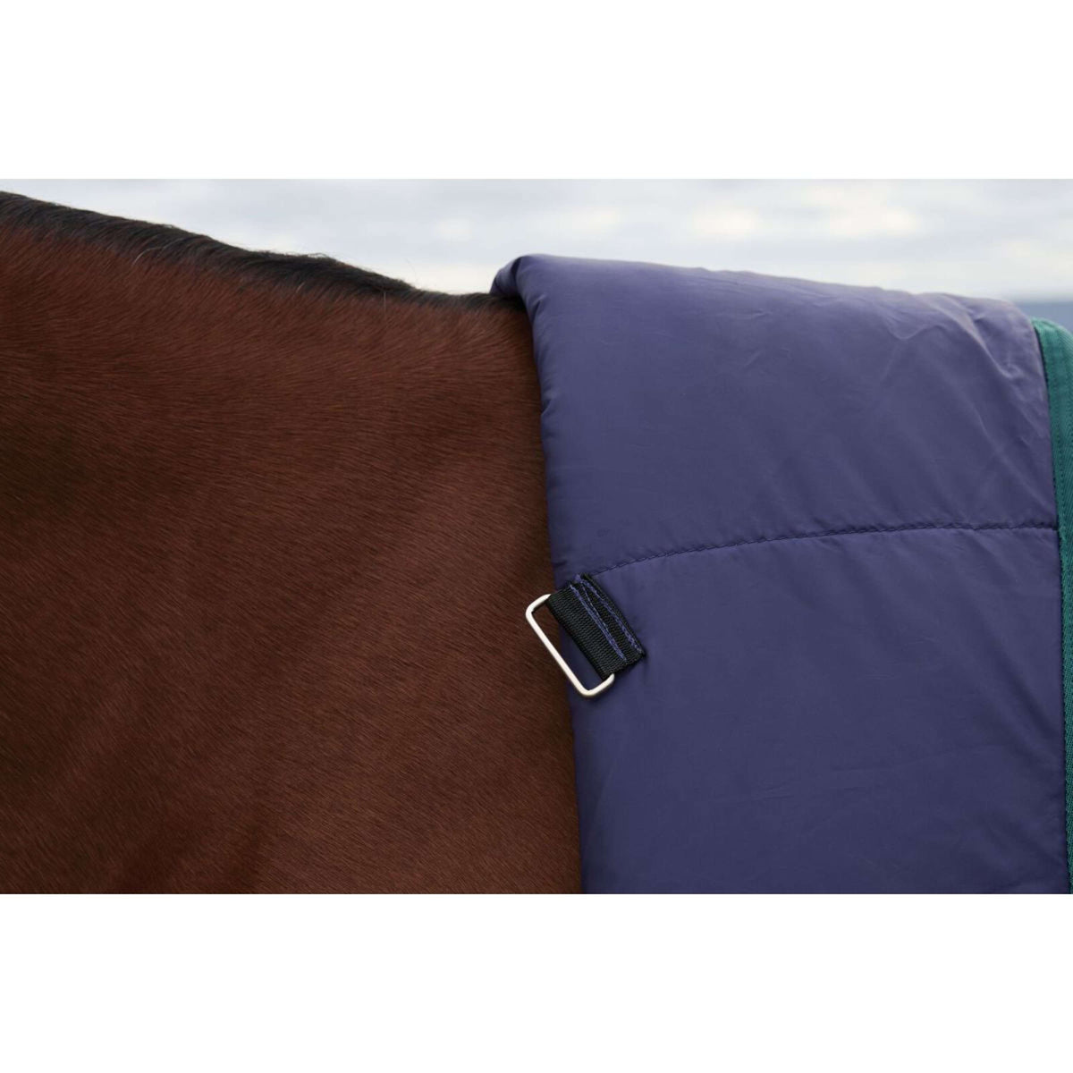 Weatherbeeta Comfitec Plus Dynamic Turnout High Neck 220g Navy/Forest Green