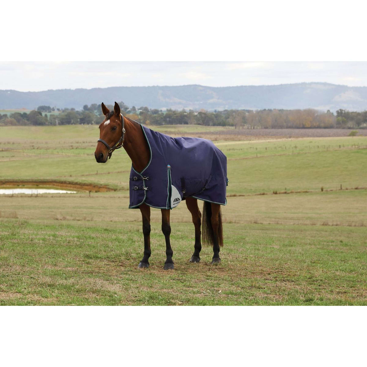 Weatherbeeta Comfitec Plus Dynamic Turnout High Neck 220g Navy/Forest Green