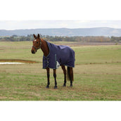 Weatherbeeta Comfitec Plus Dynamic Turnout High Neck 220g Navy/Forest Green