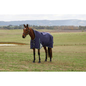 Weatherbeeta Comfitec Plus Dynamic Turnout High Neck 220g Navy/Forest Green