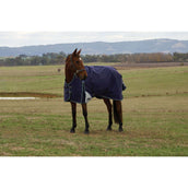 Weatherbeeta Comfitec Plus Dynamic Turnout High Neck 220g Navy/Forest Green