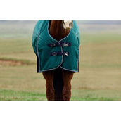 Weatherbeeta Comfitec Plus Dynamic Turnout 0g Forest Green/Navy