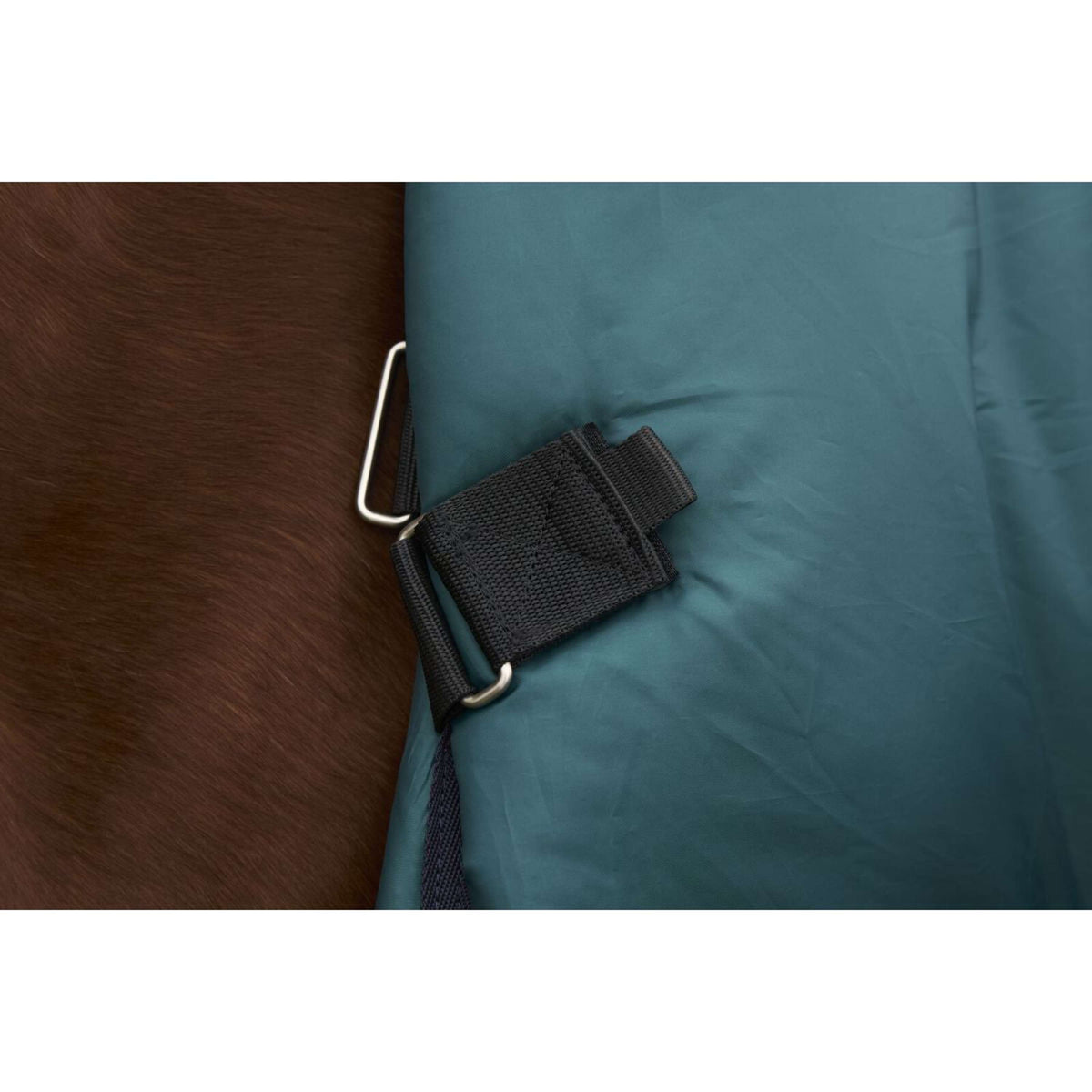 Weatherbeeta Comfitec Plus Dynamic Turnout 0g Forest Green/Navy