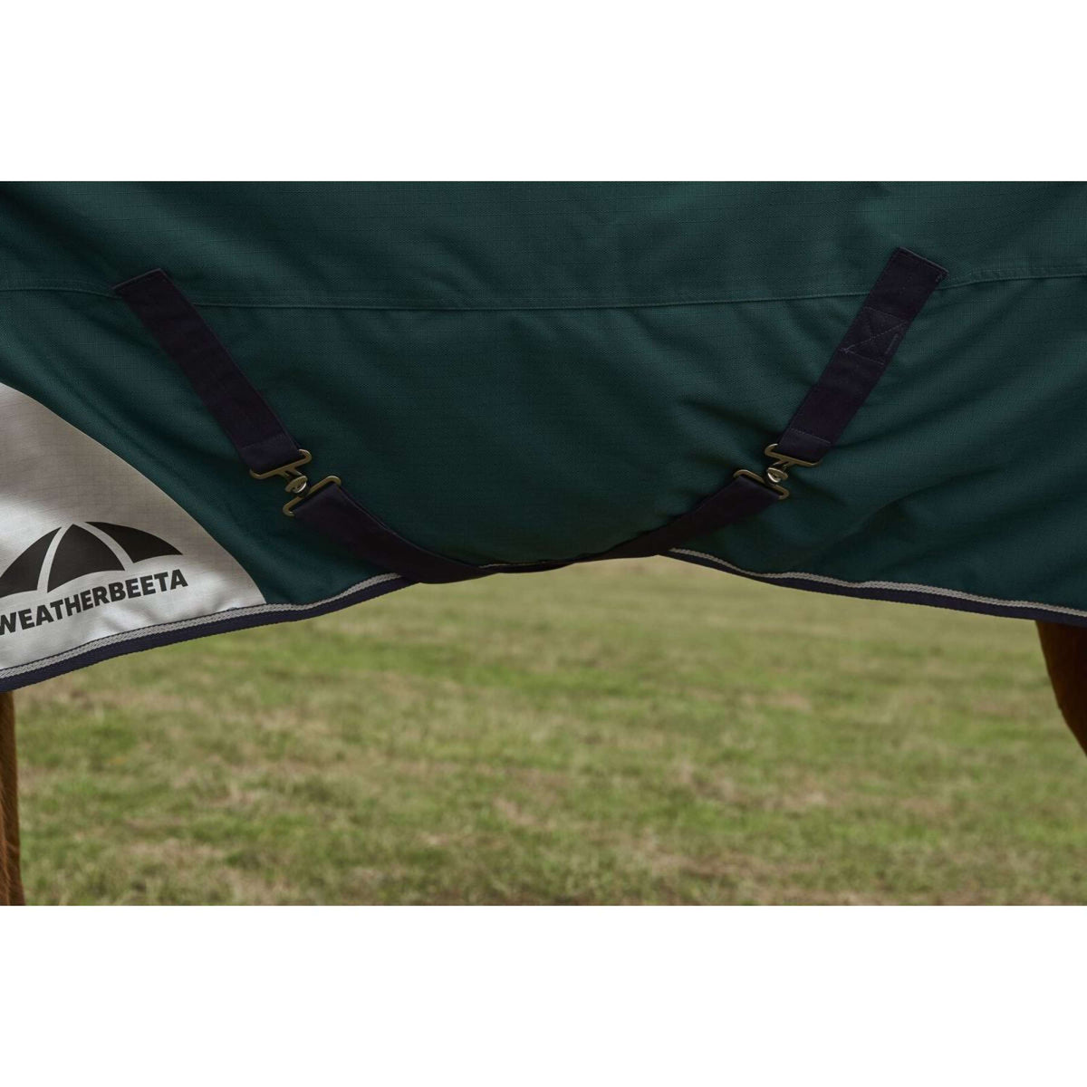 Weatherbeeta Comfitec Plus Dynamic Turnout 0g Forest Green/Navy
