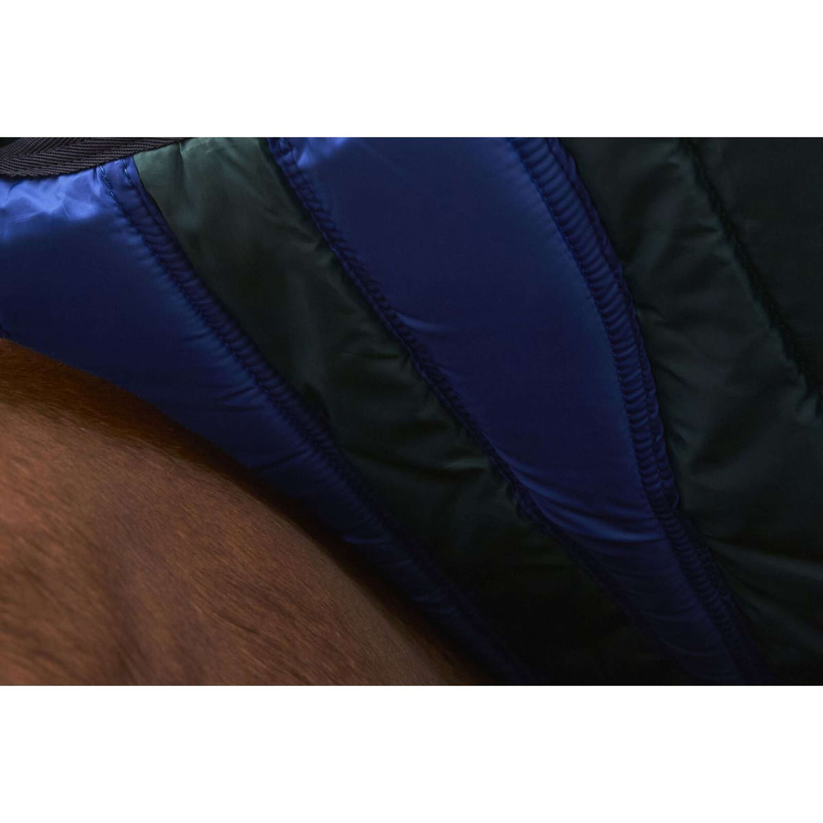 Weatherbeeta Comfitec Plus Dynamic Turnout 0g Forest Green/Navy