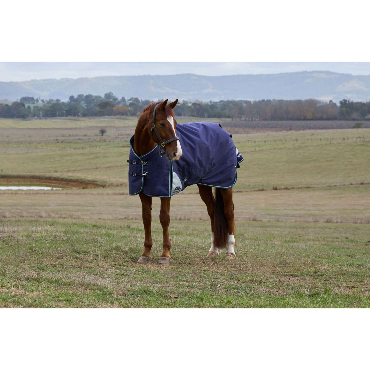 Weatherbeeta Comfitec Plus Dynamic Turnout 0g Navy/Forest Green