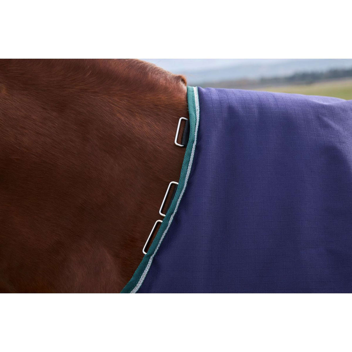 Weatherbeeta Comfitec Plus Dynamic Turnout 0g Navy/Forest Green