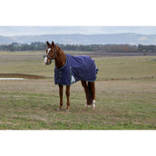 Weatherbeeta Comfitec Plus Dynamic Turnout 0g Navy/Forest Green