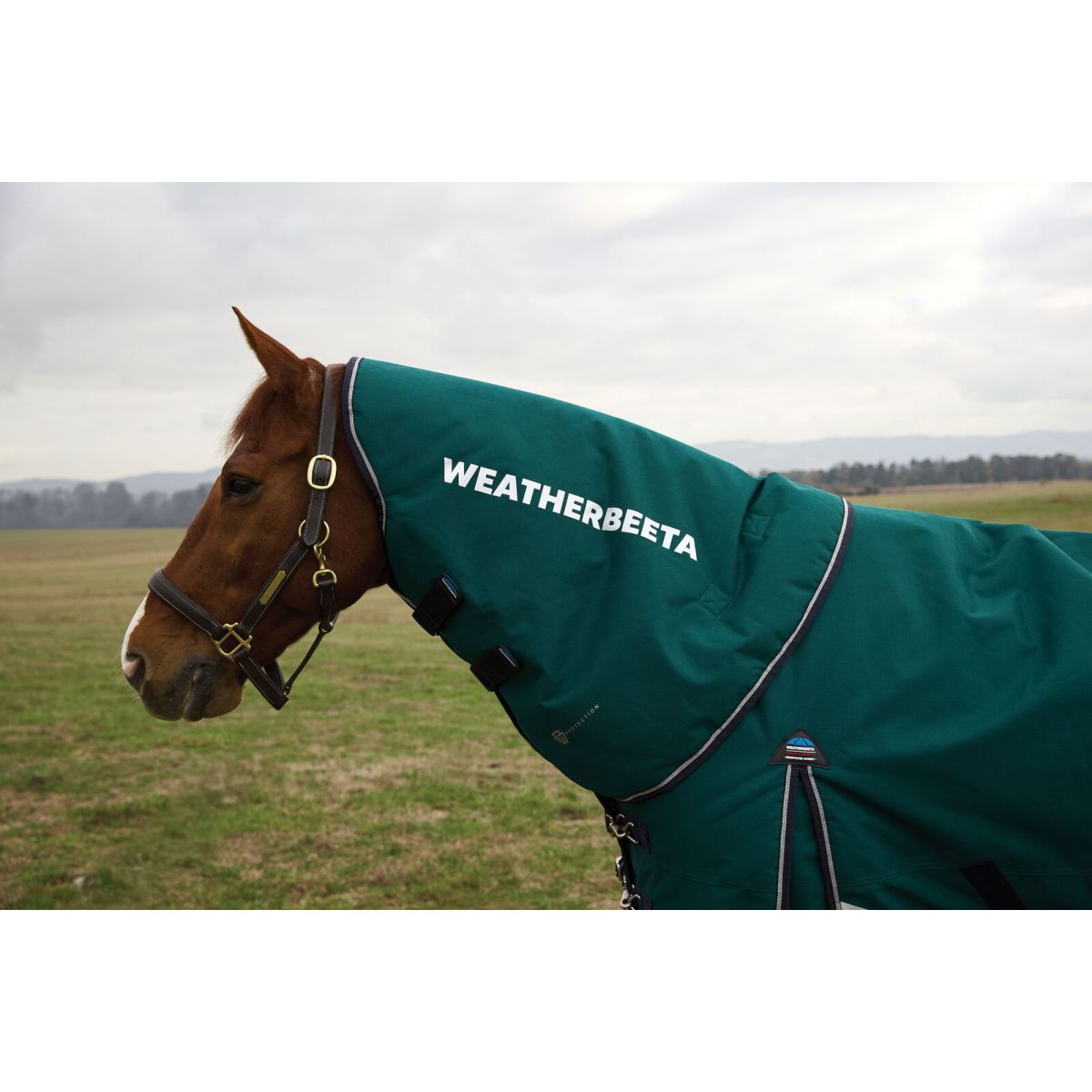 Weatherbeeta Cubrecuellos Comfitec Plus Dynamic Turnout 220g Forest Green/Navy