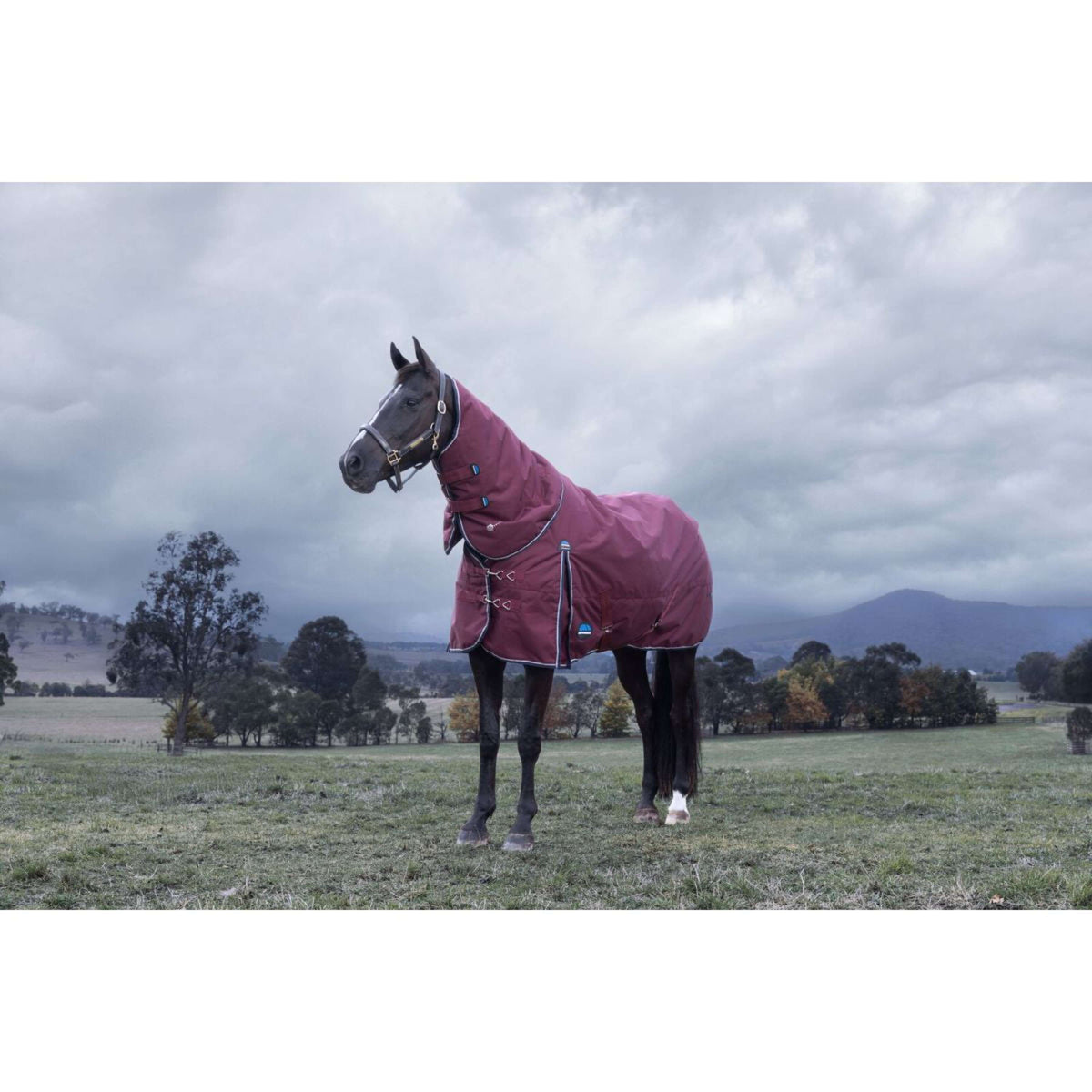 Weatherbeeta Comfitec Essential Turnout Detach-A-Neck 220g Burdeos/Azul Marino