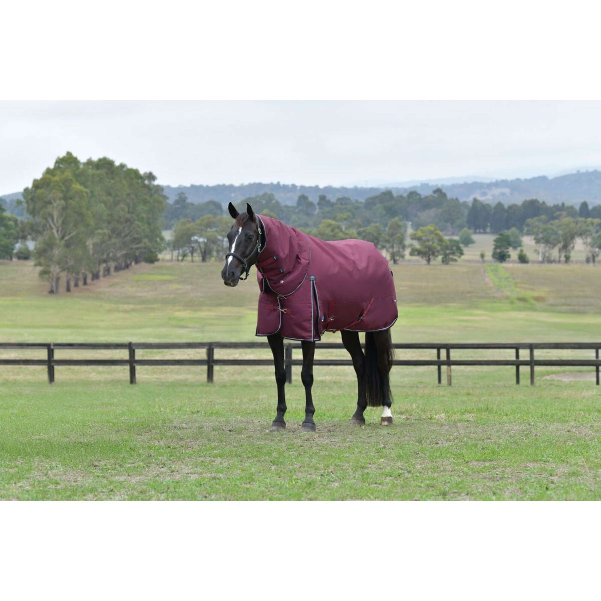 Weatherbeeta Comfitec Essential Turnout Detach-A-Neck 220g Burdeos/Azul Marino