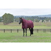 Weatherbeeta Comfitec Essential Turnout Detach-A-Neck 220g Burdeos/Azul Marino