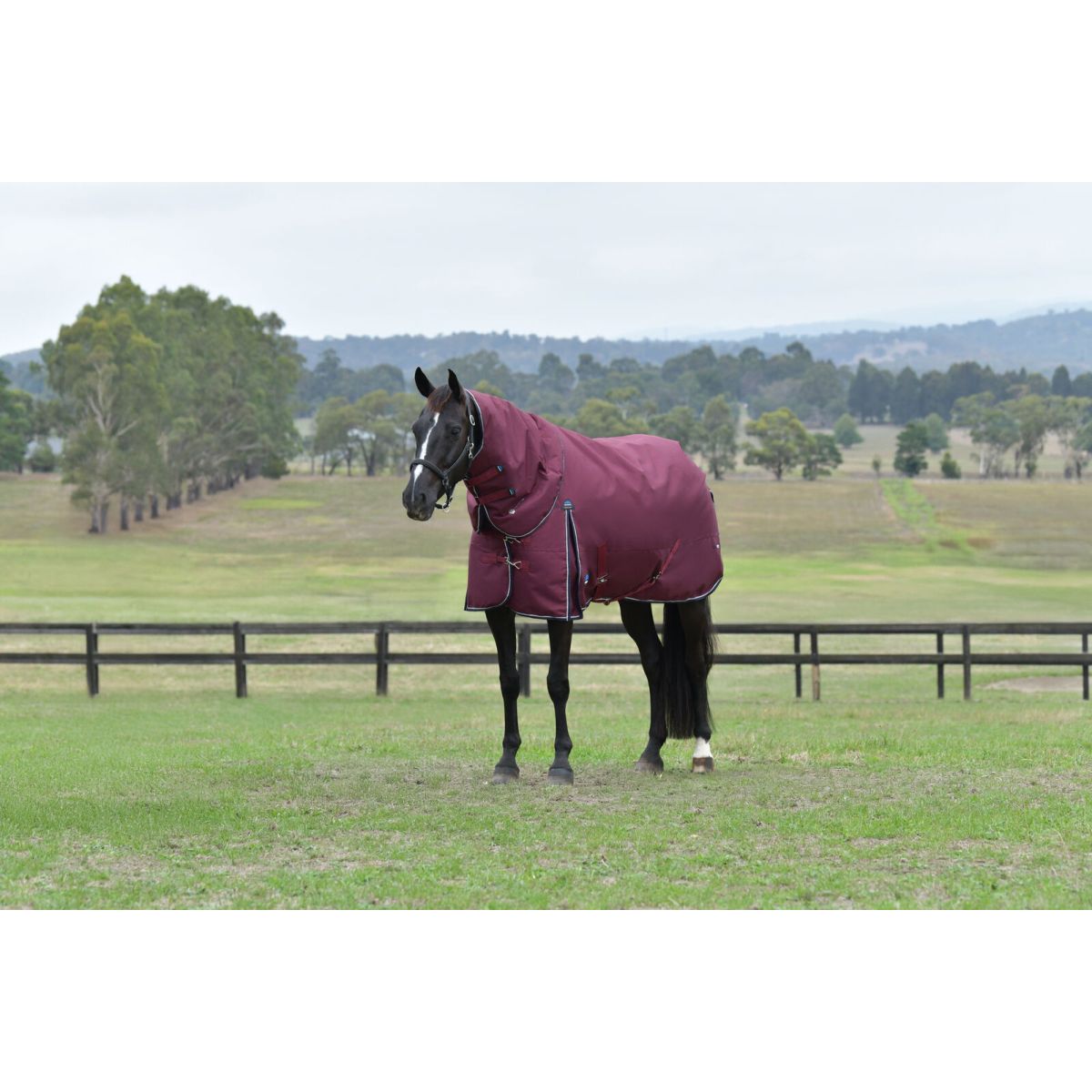Weatherbeeta Comfitec Essential Turnout Detach-A-Neck 220g Burdeos/Azul Marino
