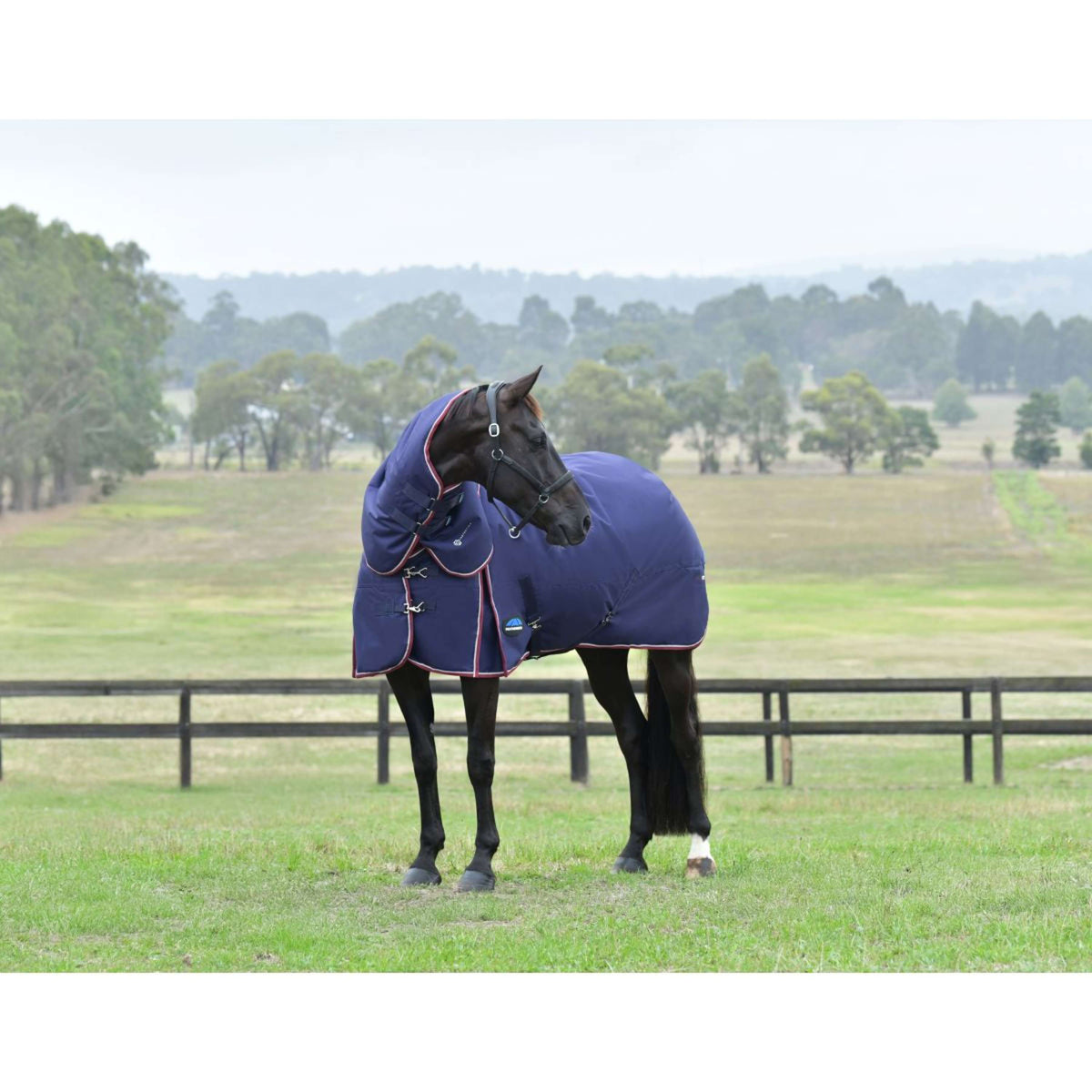 Weatherbeeta Comfitec Essential Turnout Detach-A-Neck 220g Navy/Burgundy
