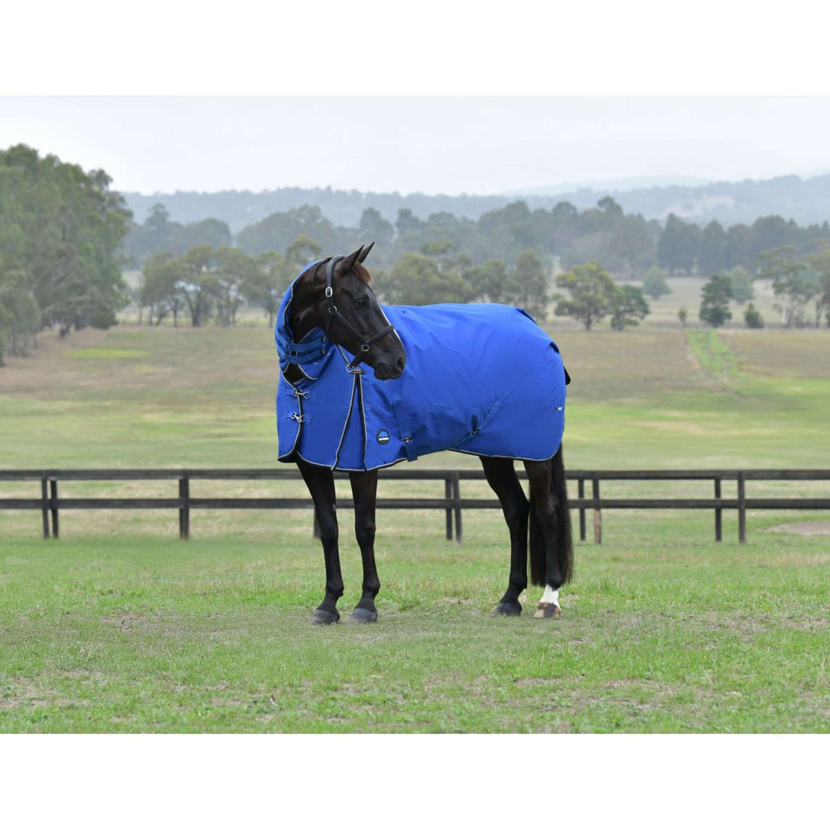 Weatherbeeta Comfitec Essential Turnout Combo 220g Cobalto/Negro