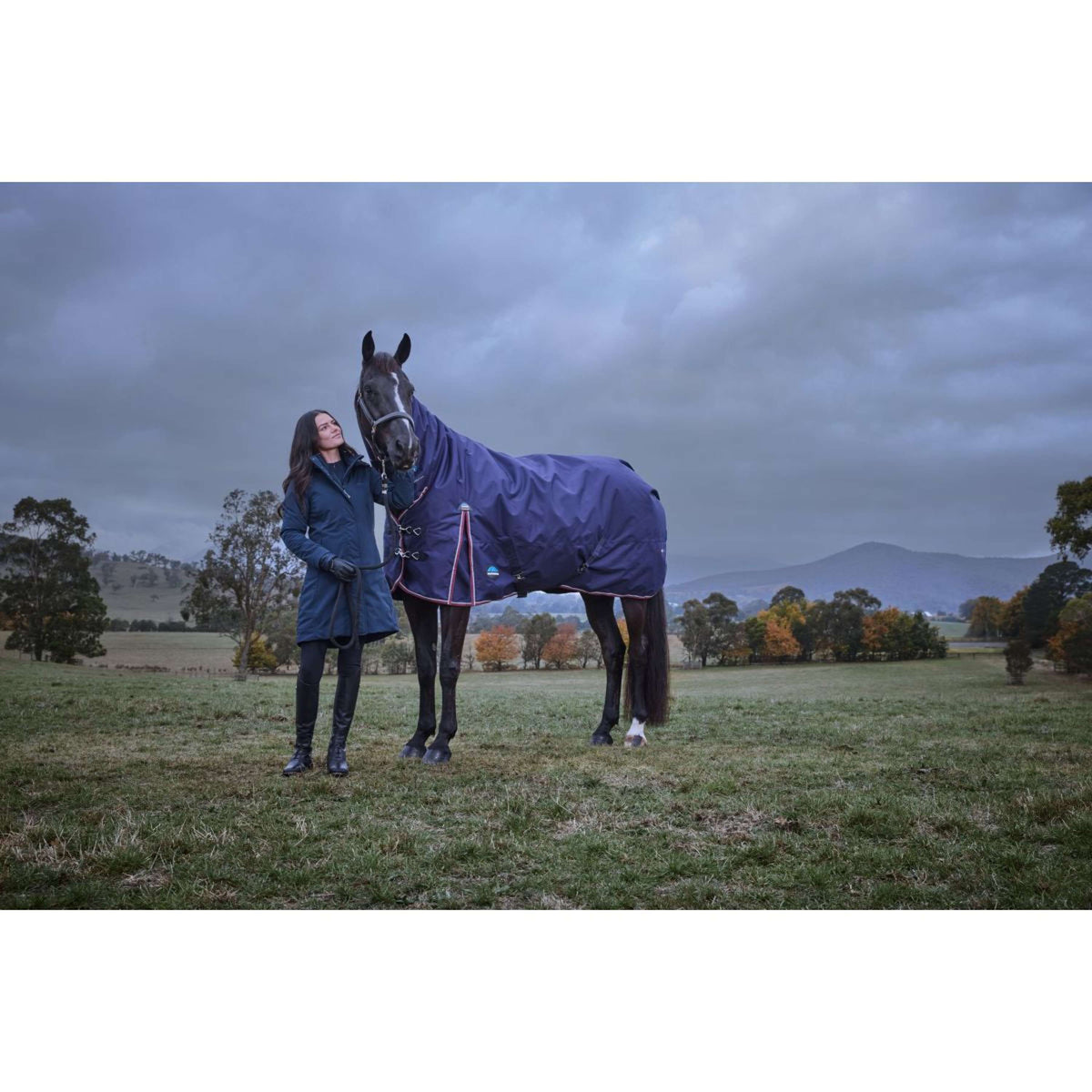 Weatherbeeta Comfitec Essential Turnout Combo 220g Navy/Burgundy