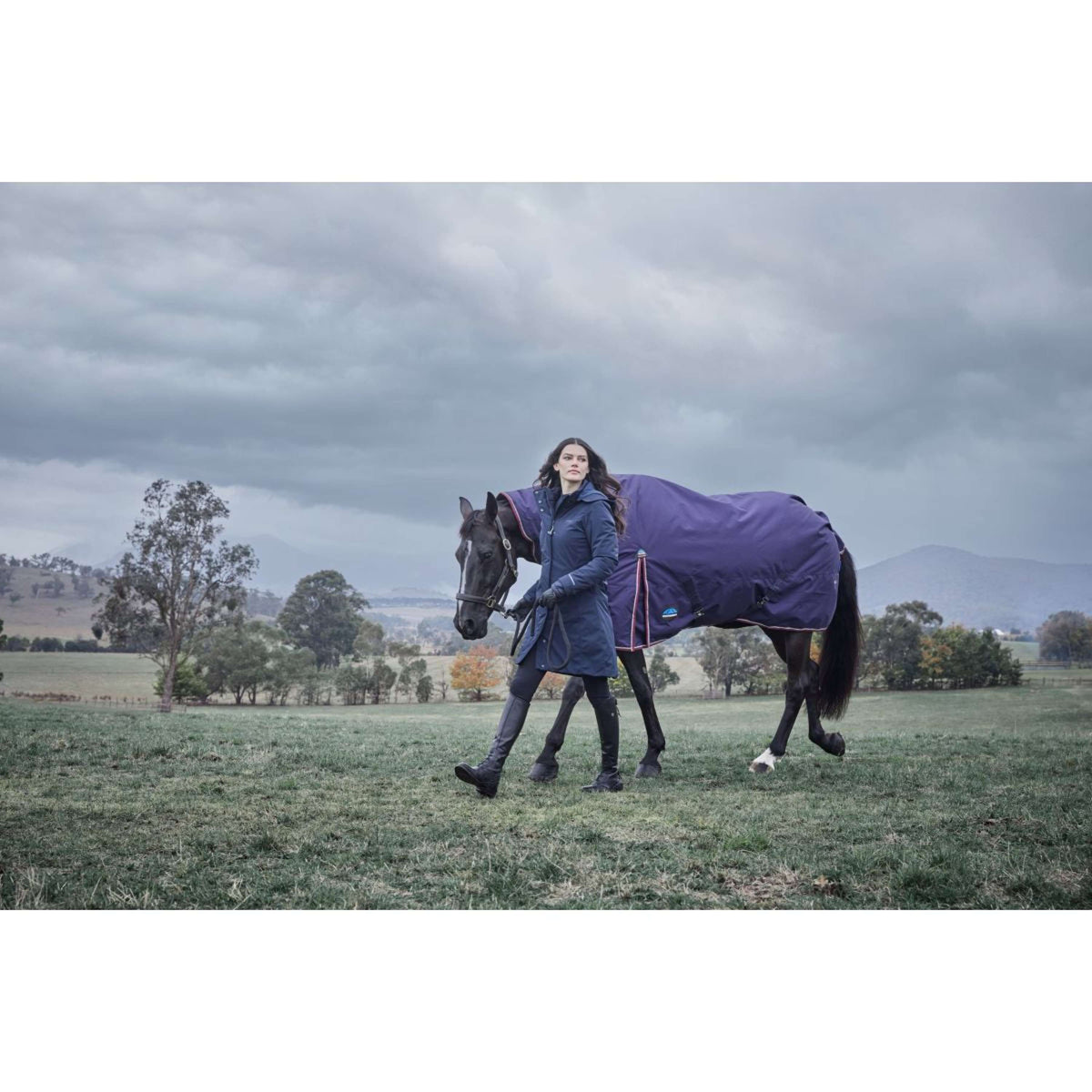Weatherbeeta Comfitec Essential Turnout Combo 220g Navy/Burgundy
