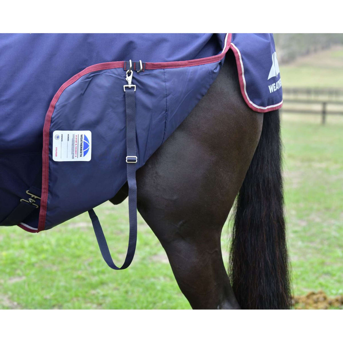 Weatherbeeta Comfitec Essential Turnout Combo 220g Navy/Burgundy