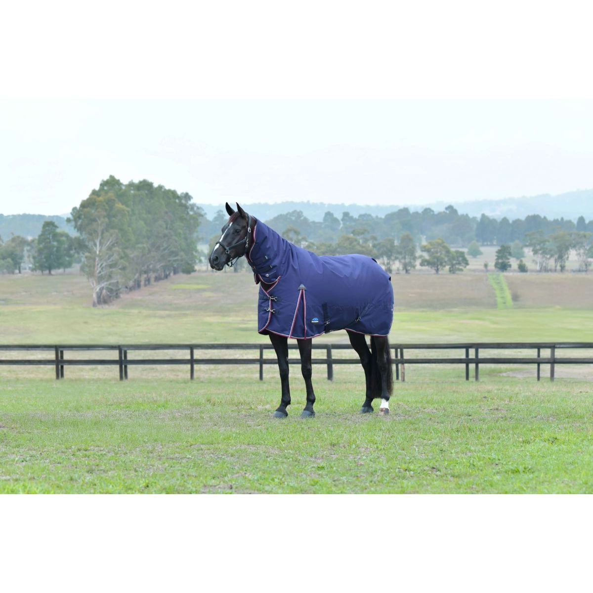 Weatherbeeta Comfitec Essential Turnout Combo 220g Navy/Burgundy