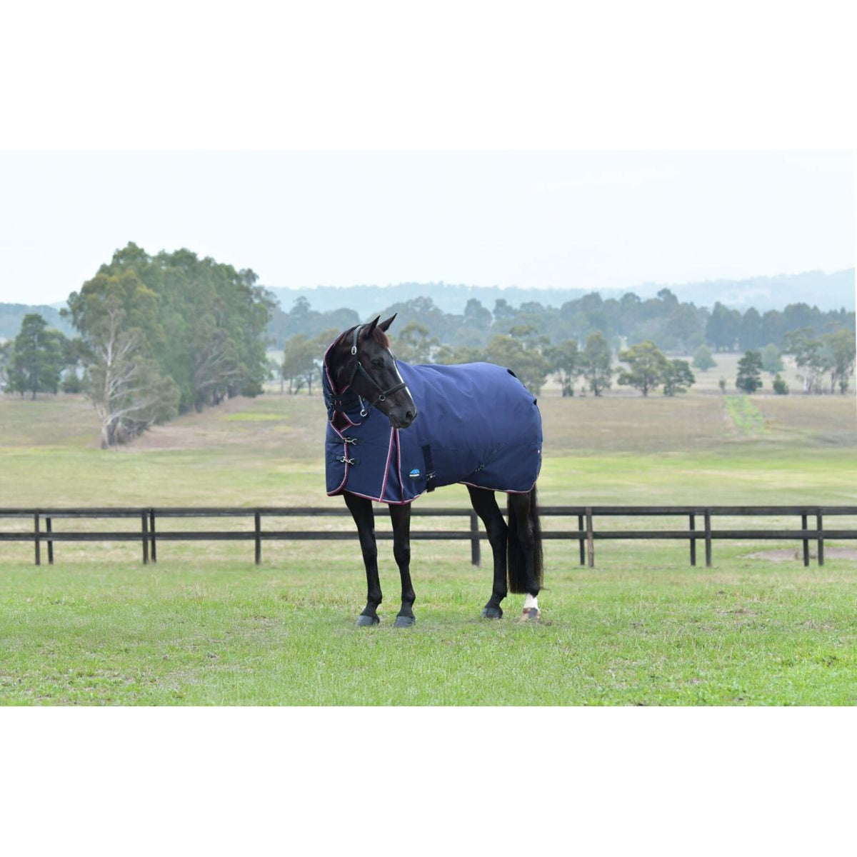 Weatherbeeta Comfitec Essential Turnout Combo 220g Navy/Burgundy