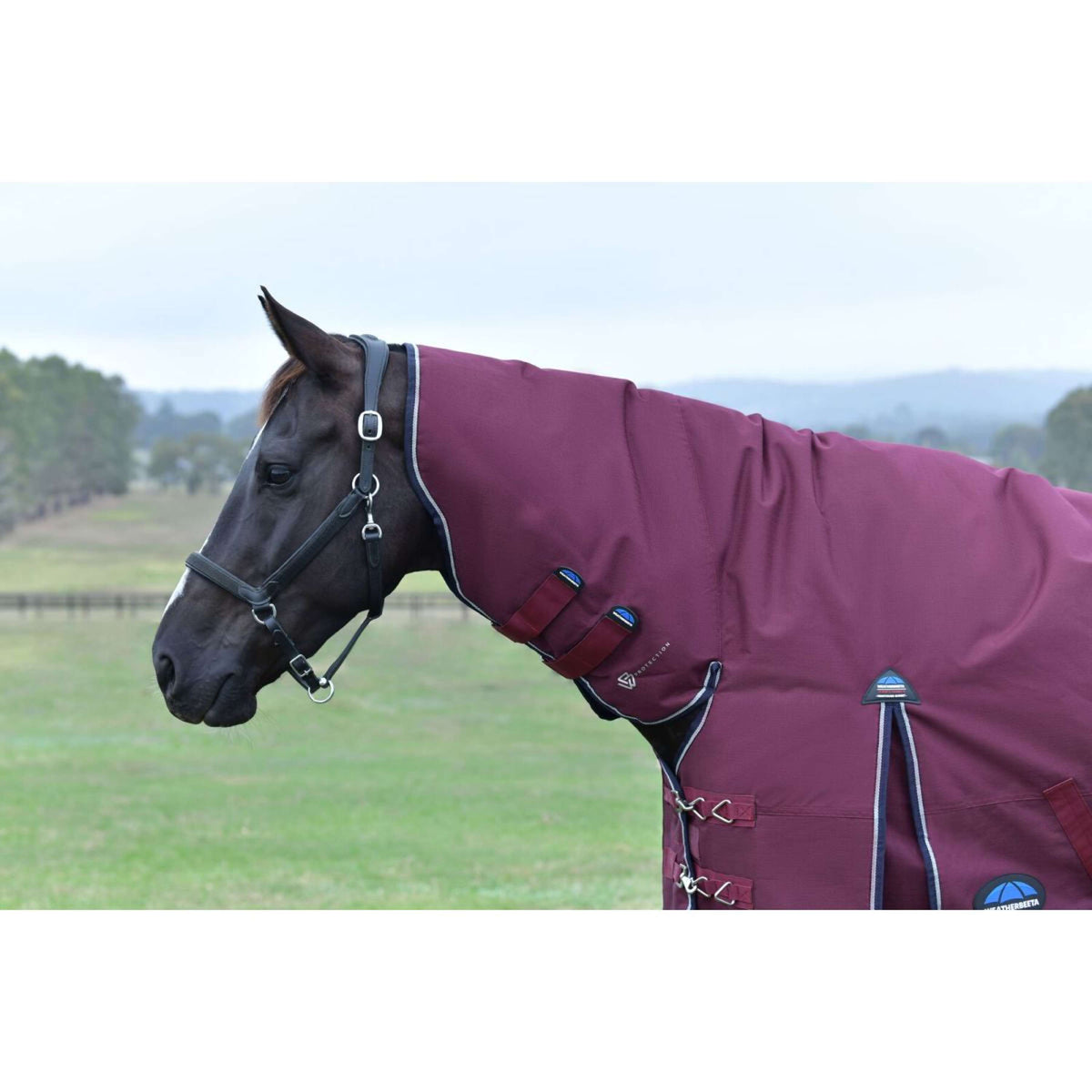 Weatherbeeta Comfitec Essential Turnout Combo 50g Burdeos/Azul Marino