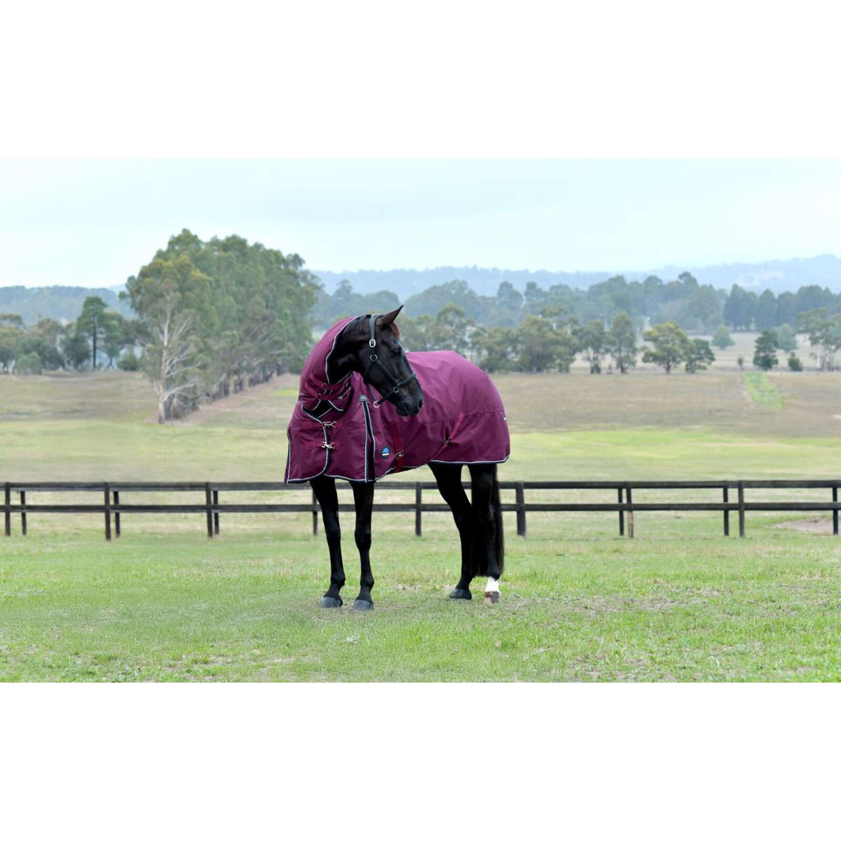 Weatherbeeta Comfitec Essential Turnout Combo 50g Burdeos/Azul Marino
