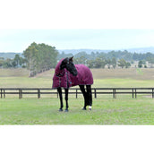Weatherbeeta Comfitec Essential Turnout Combo 50g Burdeos/Azul Marino
