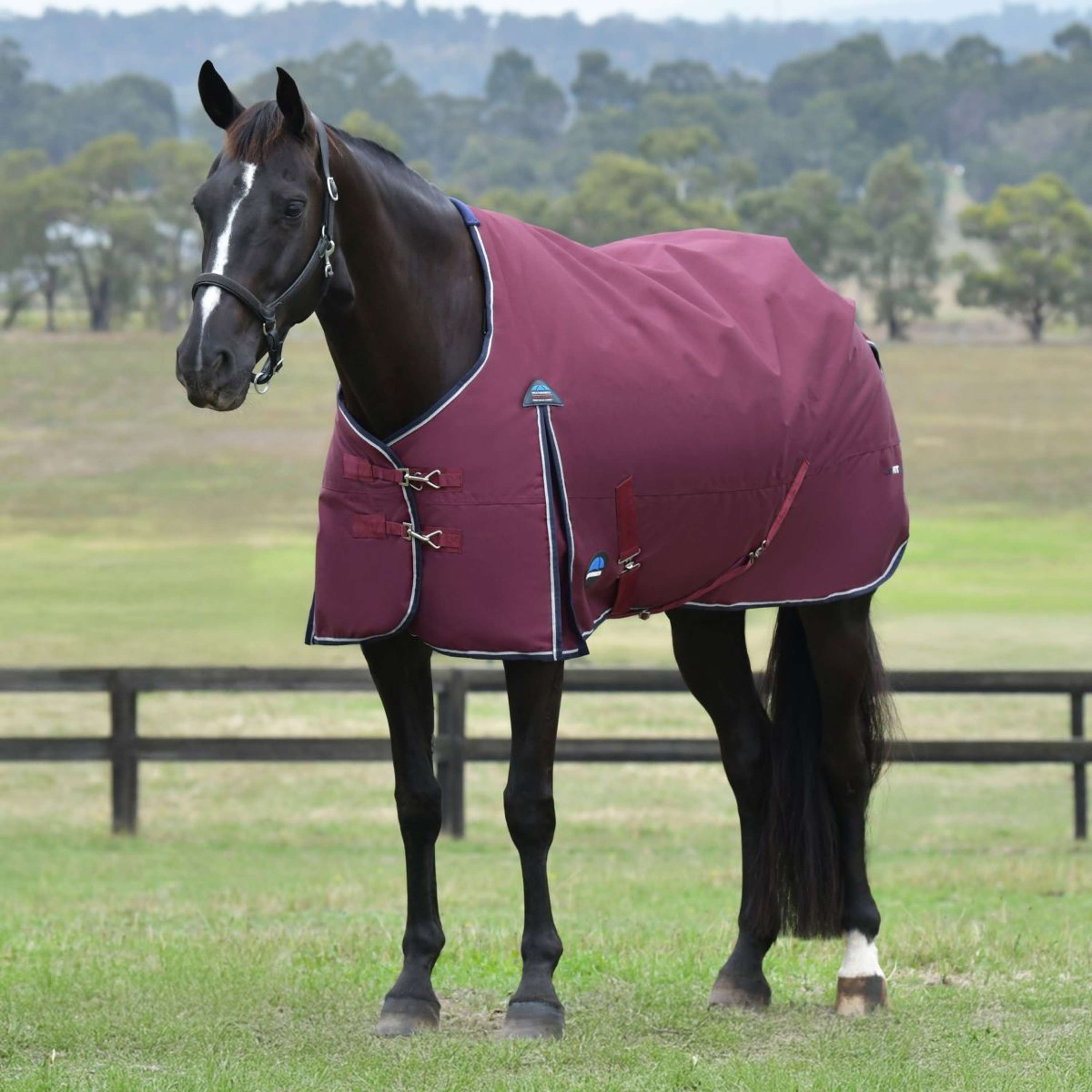 WeatherBeeta ComFiTec Essential Turnout 360g Burdeos/Azul Marino