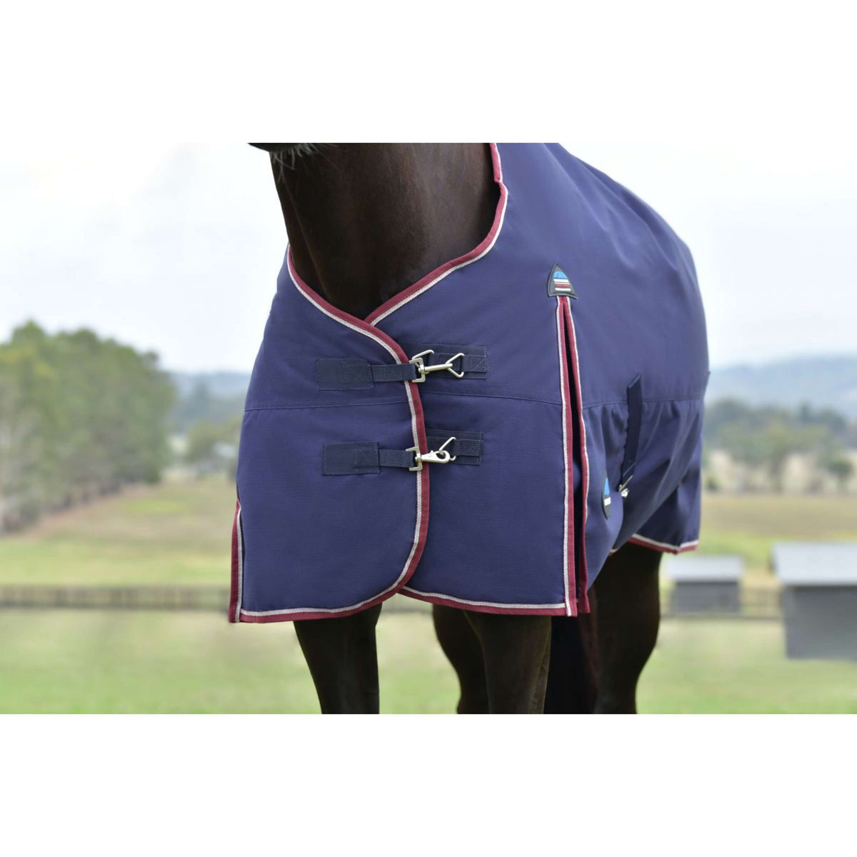 Weatherbeeta Comfitec Essential Turnout 50g Navy/Burgundy