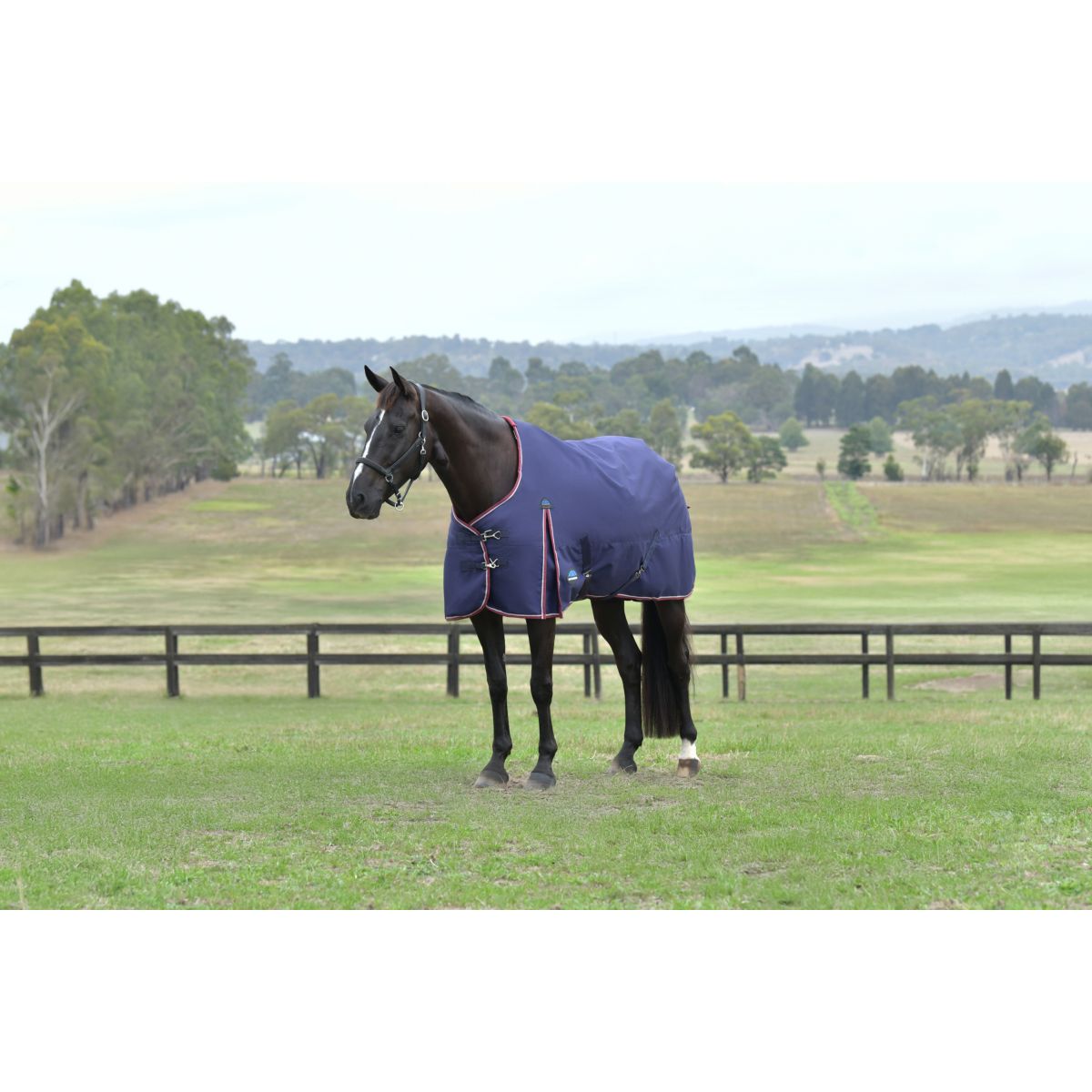 Weatherbeeta Comfitec Essential Turnout 50g Navy/Burgundy
