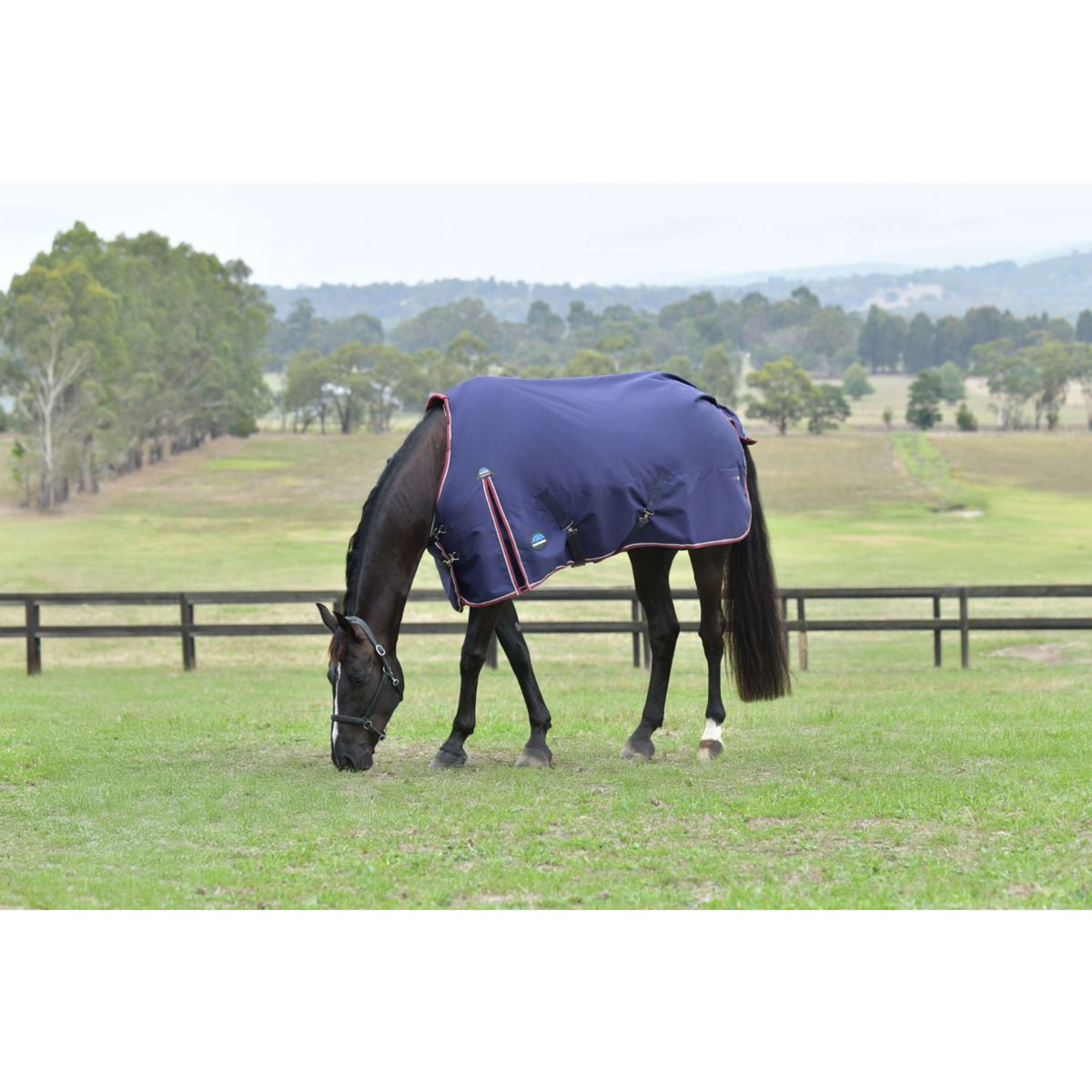 Weatherbeeta Comfitec Essential Turnout 50g Navy/Burgundy