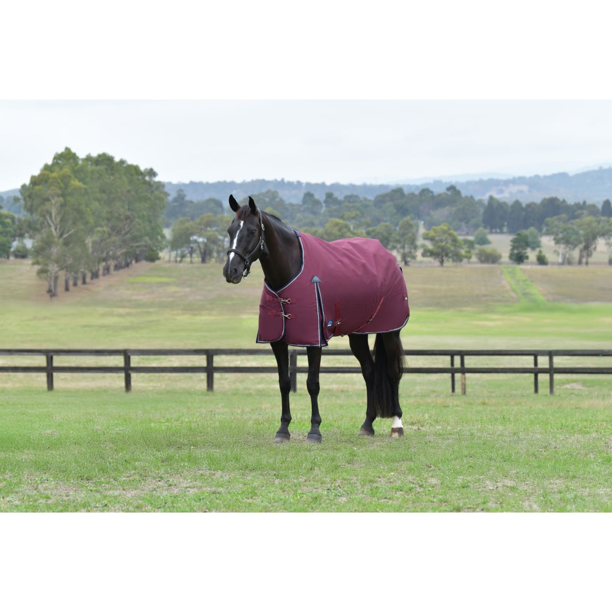 Weatherbeeta Comfitec Essential Turnout 0g Burdeos/Azul Marino
