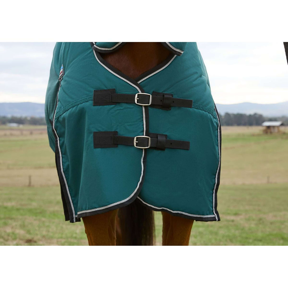 Weatherbeeta Comfitec Classic Turnout Combo 220g Forest Green/Black